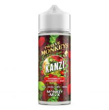 Twelve Monkeys - Kanzi