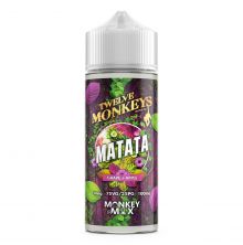 Twelve Monkeys - Matata